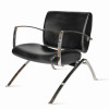 Leather armchair Dodo F396