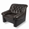 Leather armchair
